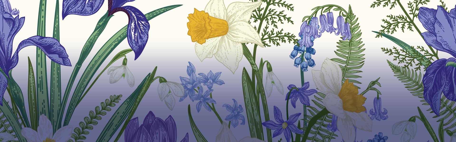 Spring flower banner image