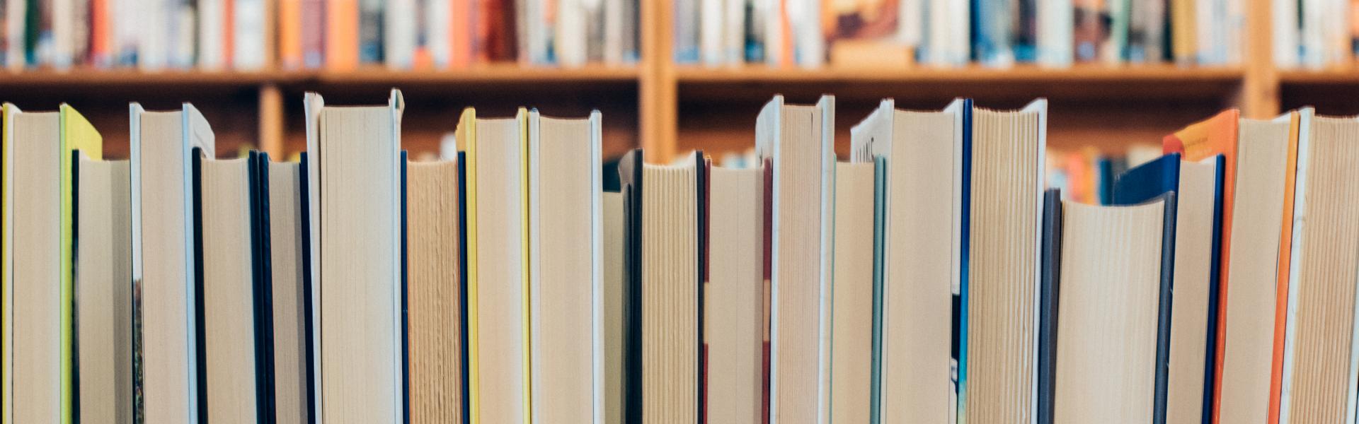A row of books sitting on a shelf.