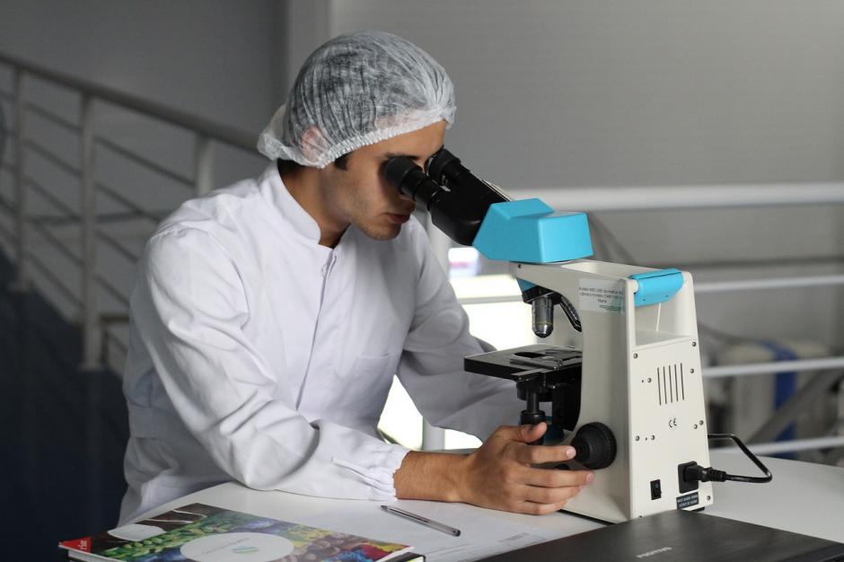 Scientist study chemistry