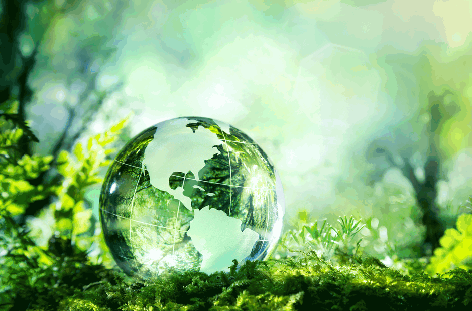 A green, glass globe sitting in a forest.