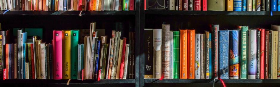 Books on a shelf.