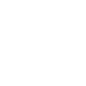 An icon that links to the transfer checklist.