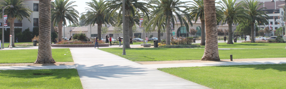 A shot of a walkway on the LAC campus.