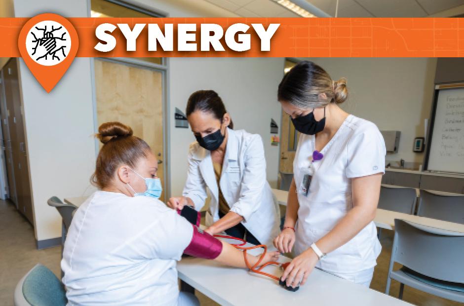 LBCC Strategic Plan of Synergy