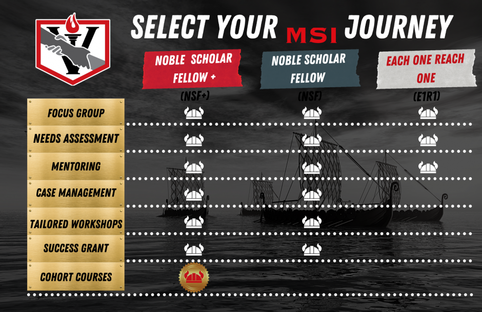 MSI Journeys