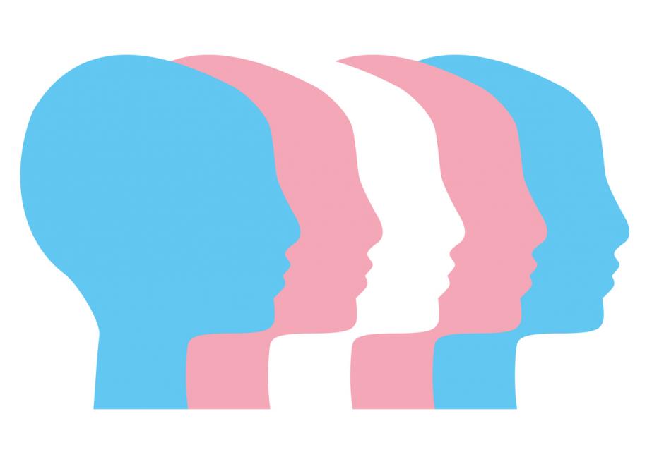 head-images with transgender flag color