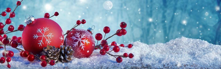 Holiday party banner