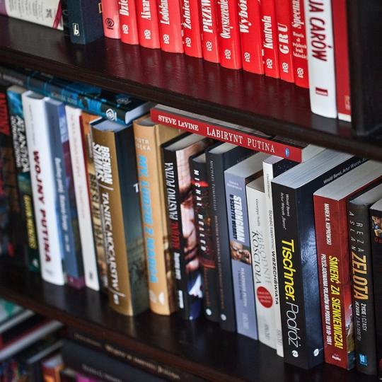 Books on a shelf.