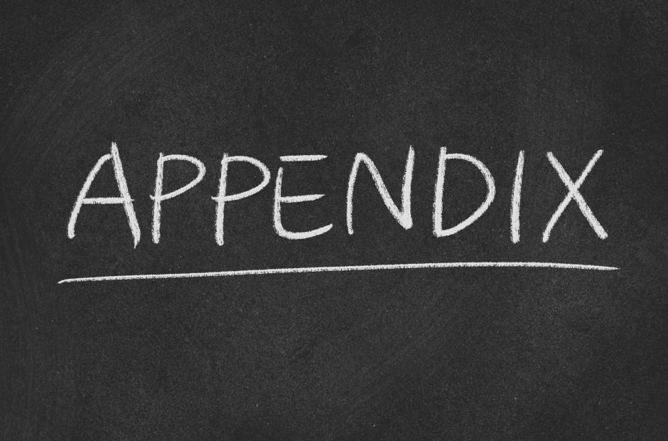 Appendix text written with white chalk on a black board