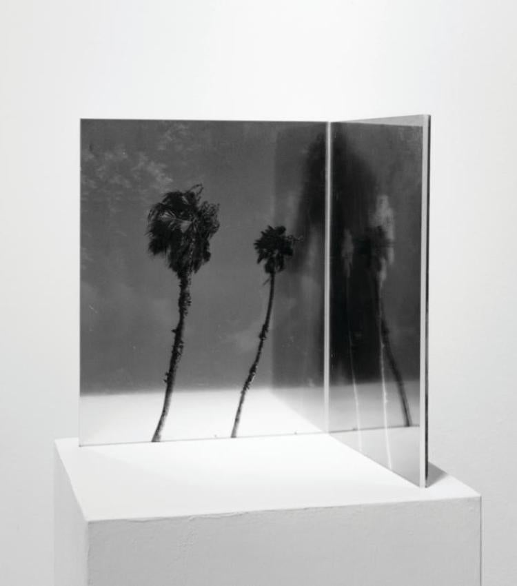 Photography into Sculpture by Allen Houghton