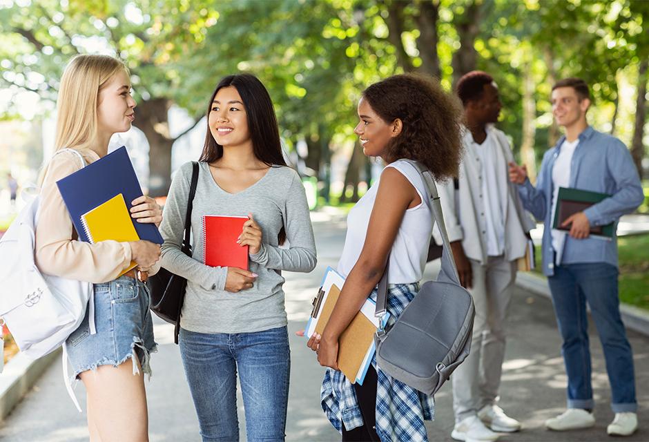 Diverse ethnicity students discussing educational project, park background