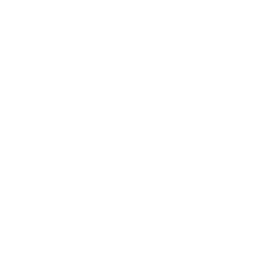 YouTube icon